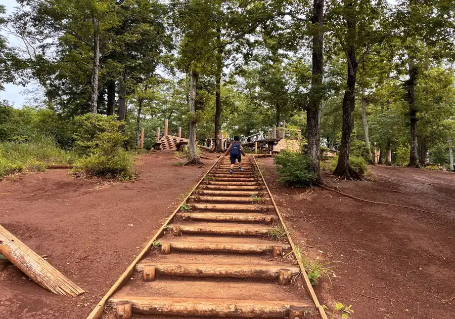 野山北公園の木製アスレチック広場へ向かう階段の風景